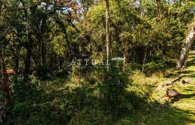 Imagem 2: TERRENO CONDOMÍNIO PINHEIRO GROSSO