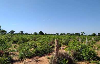 Imagem 12: Fazenda à venda de 497,00 Ha para Agricultura Irrigada Ibiaí - MG