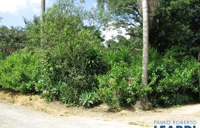 Imagem 6: AREA - LARANJA AZEDA - SP