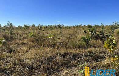 Imagem 6: Excelente fazenda dupla aptidão com 576,20 hectares à venda em Brasilândia...