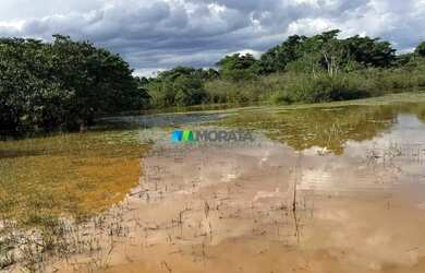 Imagem 8: FAZENDA À VENDA - 444 HECTARES - MORRO DA GARÇA MG