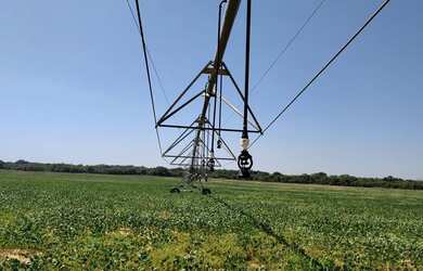 Imagem: A fazenda possui 4.970.000m² de Área e está localizado em