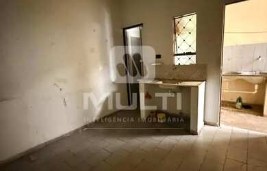 Imagem 12: Colonia - JARDIM BRASILIA