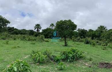 Imagem 11: Crixás - Fazenda - Zona Rural