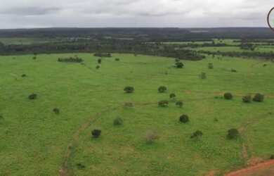 Imagem: A fazenda está localizado em Plano Diretor Sul, Palmas à venda