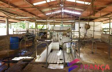 Imagem 9: França Consultoria Imobiliária vende fazenda no Xuri, Vila Velha/ES