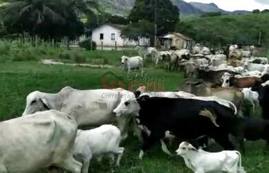 Imagem: A fazenda possui 781m² de Área, Imóvel novo e está localizado