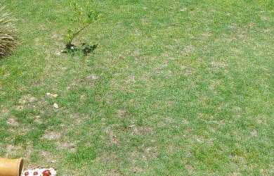 Imagem 4: Casa mobiliada em Jacaraipe 80 mil a vista