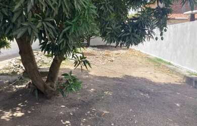 Imagem 9: Casa em Pau Amarelo venda