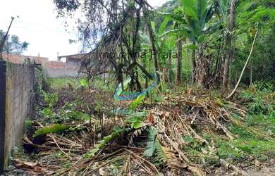 Imagem 2: Terreno para Venda em Caraguatatuba, Massaguaçu
