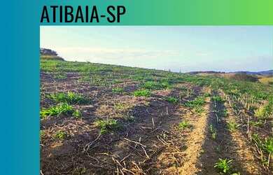 Imagem: O terreno possui 500m² de Área e está localizado em Centro