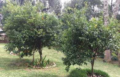 Imagem 13: Casa Vila Seca Casa com 4 dormitórios