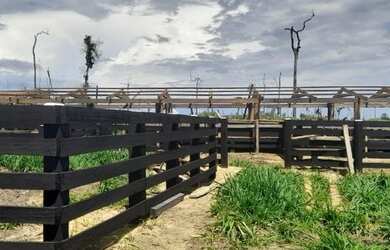 Imagem 4: Fazenda em Guariba Mato Gorsso