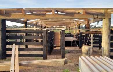 Imagem 7: Fazenda em Guariba Mato Gorsso