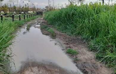 Imagem 13: Fazenda em Guariba Mato Gorsso