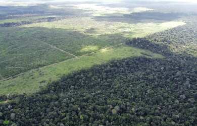 Imagem 1: Fazenda em Guariba Mato Gorsso