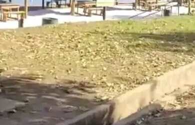 Imagem: O terreno possui 600m² de Área e está localizado em Reverendo