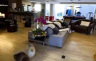 Imagem 11: Casa com 4 dormitórios à venda, 284 m² por R$ 2.500.000,00 - Bacacheri...