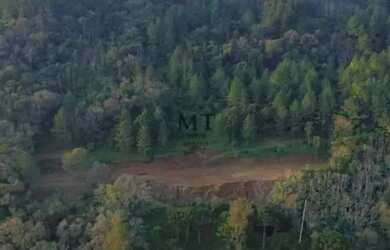 Imagem 3: Sítio bairro Linha Pirajá, Nova Petrópolis.RS REF 336