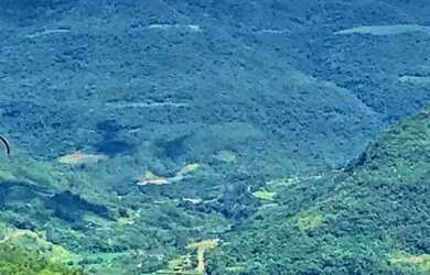 Imagem 6: Sítio / Chácara para Venda em Nova Petrópolis, Linha Pirajá Baixa