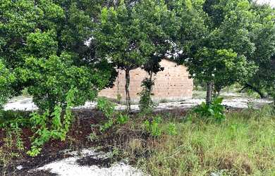 Imagem 9: Casa a mil metros da praia próximo ao barramares