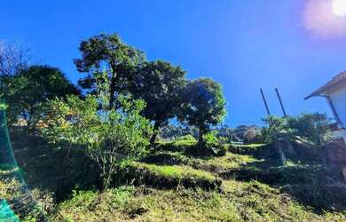 Imagem 6: Terreno para Venda em Nova Petrópolis, Vila Olinda