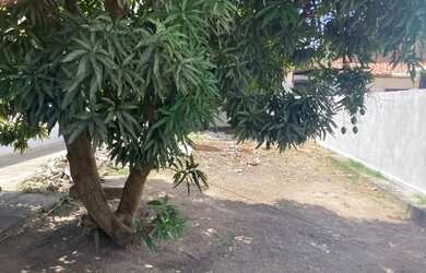 Imagem 8: Casa em Pau Amarelo venda