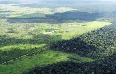 Imagem 16: Fazenda em Guariba Mato Gorsso