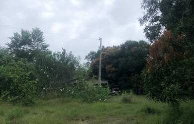 Imagem: A chácara está localizado em Buritis, Boa Vista à venda por