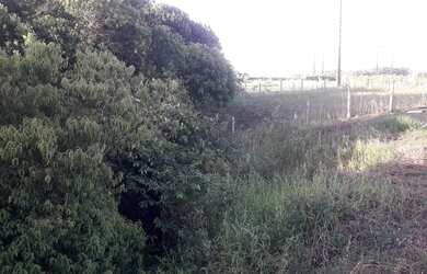 Imagem 5: Vendo Terrro em Aldeia 50X25