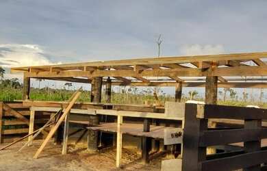 Imagem 6: Fazenda em Guariba Mato Gorsso