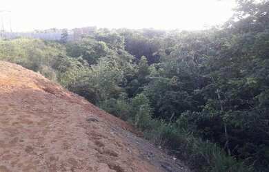 Imagem 6: Vendo Terrro em Aldeia 50X25