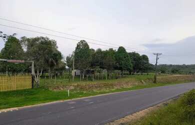 Imagem 1: Vende-se Propriedade Rural - AM-352, Km 42 - Novo Airão/AM