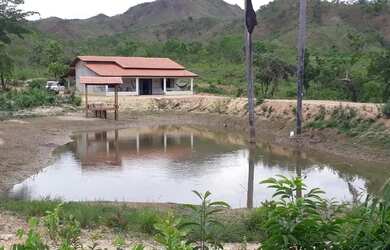 Imagem 8: A M IMOVEIS VENDE EXELEN FAZENDA COM 310.7HECTARES PARA PECUARIA