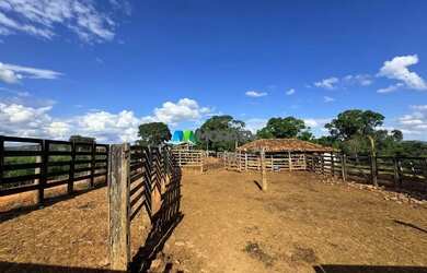 Imagem 10: FAZENDA À VENDA - 444 HECTARES - MORRO DA GARÇA MG