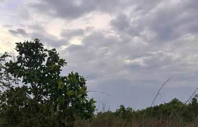 Imagem: A fazenda possui 285m² de Área e está localizado em Cidade