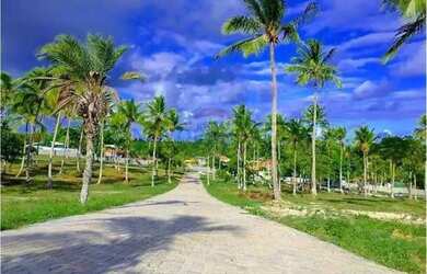 Imagem: O terreno possui 200m² de Área e está localizado em Mata