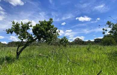 Imagem: A chácara está localizado em Jaboticatubas, MG à venda por