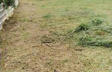 Imagem 2: Lote Dorândia 1500 m². 1.500m² de Área