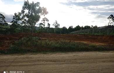 Imagem 2: Terreno à venda, 2000 m² por R$ 135.000,00 - Boa Vista - São Miguel...