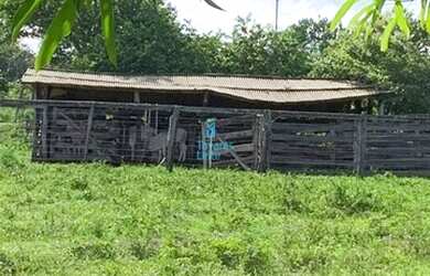 Imagem 3: Crixás - Fazenda - Zona Rural