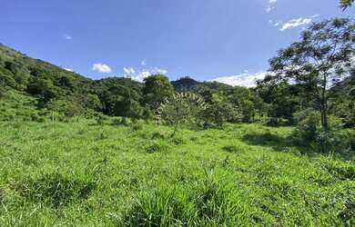 Imagem: O terreno e está localizado em Pedro do Rio, Petrópolis à