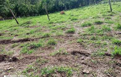 Imagem 4: Terreno à venda, 2000 m² por R$ 135.000,00 - Boa Vista - São Miguel...