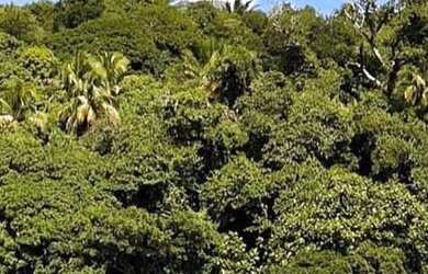 Imagem: A casa possui 3 Dormitórios, 1 Vaga na garagem e Imóvel novo