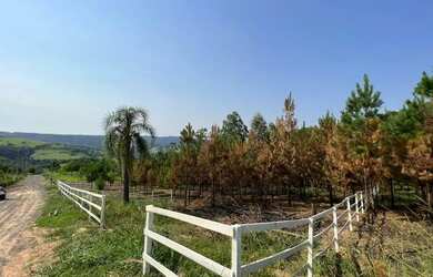 Imagem 3: Terreno 1000 m quadrados