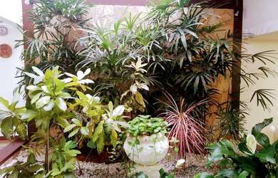 Imagem 11: RESIDÊNCIA alto padrão, NO CAMINHO DAS ÁRVORES ITAIGARA