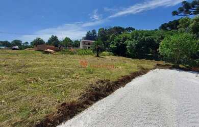 Imagem 4: Venda Lote/Terreno bairro Tranqueira, Areias - Almirante Tamandaré