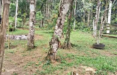 Imagem 8: 137 mil reais 2 casas luz ligada 43 mil de entrada 1600 por mes