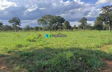 Imagem 13: FAZENDA À VENDA - 444 HECTARES - MORRO DA GARÇA MG