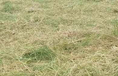 Imagem 1: Terreno de esquina. 180m² de Área